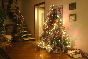 Bildrechte: Flickr My Christmas Conan CC BY 2.0 Bestimmte Rechte vorbehalten