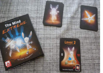 Das Spiel wird als Gemeinschaft/Team gespielt wird, nicht gegeneinander. Es gibt also nicht den Sieger, der am Ende des Spiels feststeht