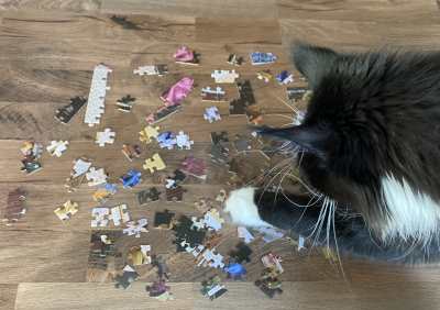 Das Krimipuzzle besteht aus 1000 Teilen, welche ohne Vorlage zu einem Bild zusammengesetzt werden müssen.